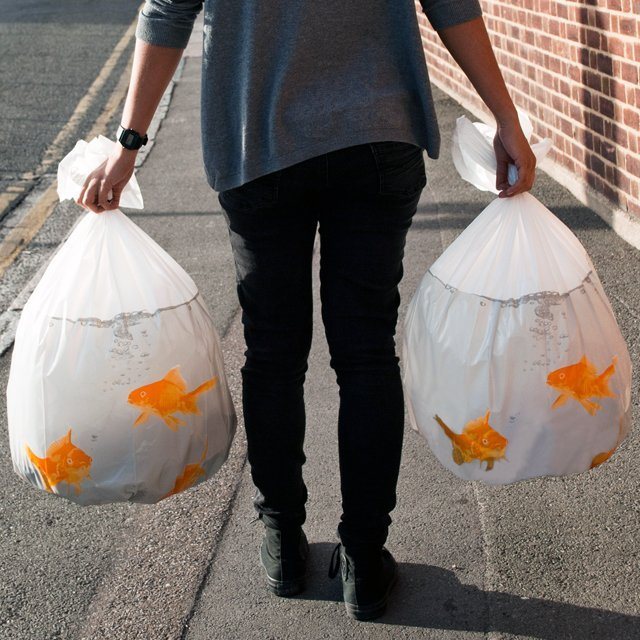 Goldfish Happy Sack Bin Bags