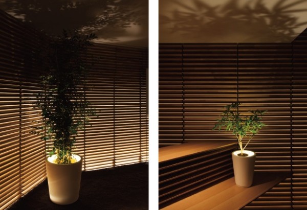 Forestarium Lamp lights 3