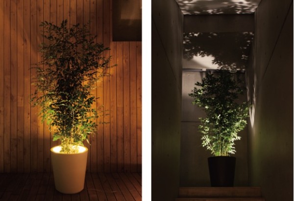 Forestarium Lamp lights 4