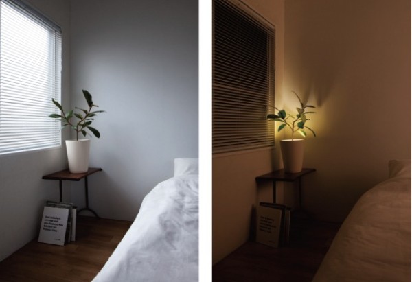 Forestarium Lamp lights 5