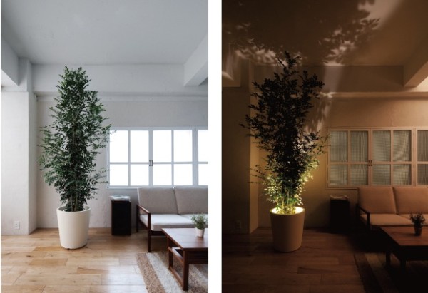 Forestarium Lamp lights 6
