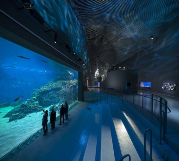 blueaquarium-3