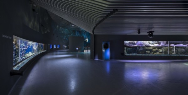 blueaquarium-8