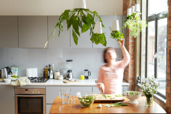 sky planter