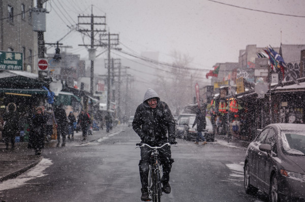 survive Winter