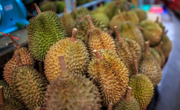 Durian fruit