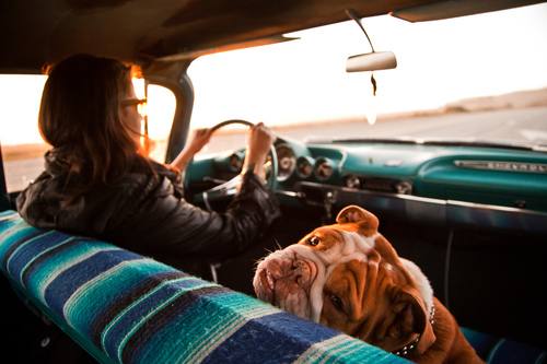 Friday Inspiration 73 15