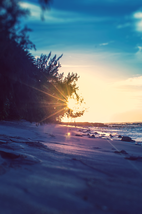 Friday Inspiration 73 32
