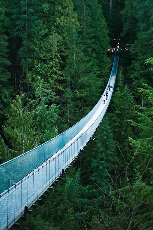 Capilano Suspension Bridge