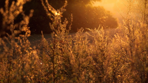 Friday Inspiration 75 71