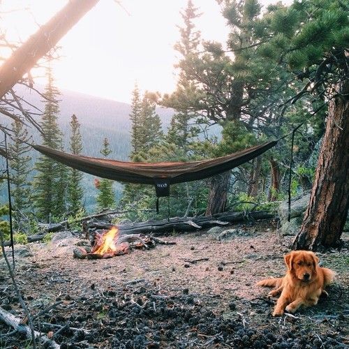 Friday Inspiration 75 98