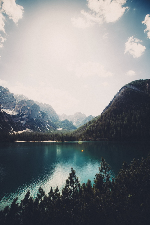 Friday Inspiration 81 39