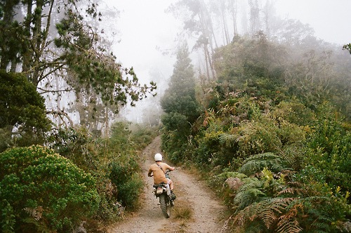 Friday Inspiration 81 42