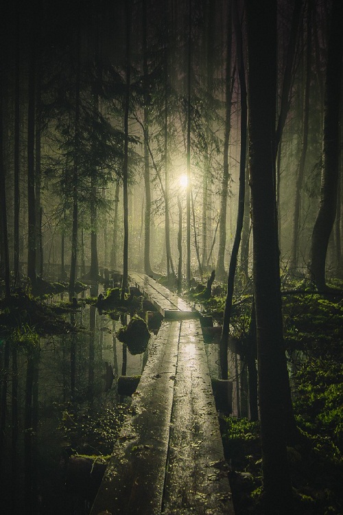 Friday Inspiration 81 99