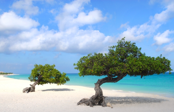 Aruba 2