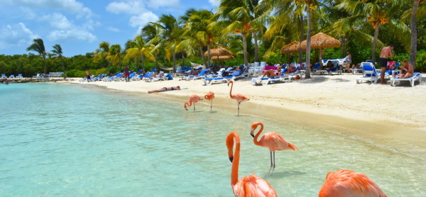 Warm Escapes From Winter