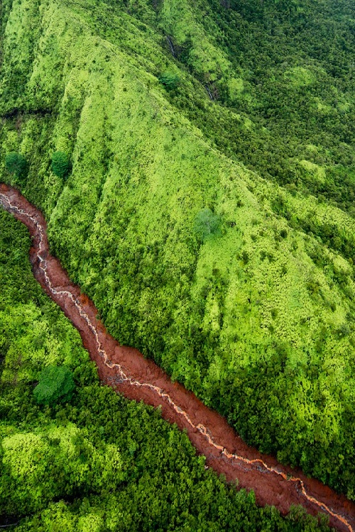 Aerial view of a mud river,  Kauai island