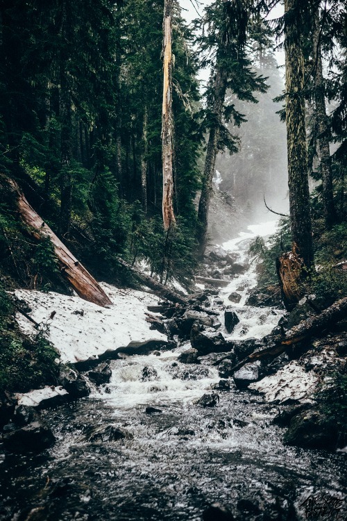 Friday Inspiration 96 55