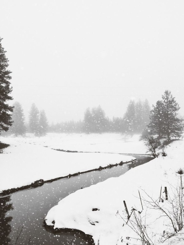 Friday Inspiration 97 73