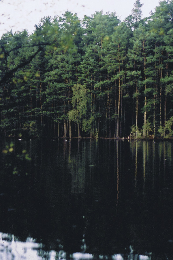 Friday Inspiration 98 14