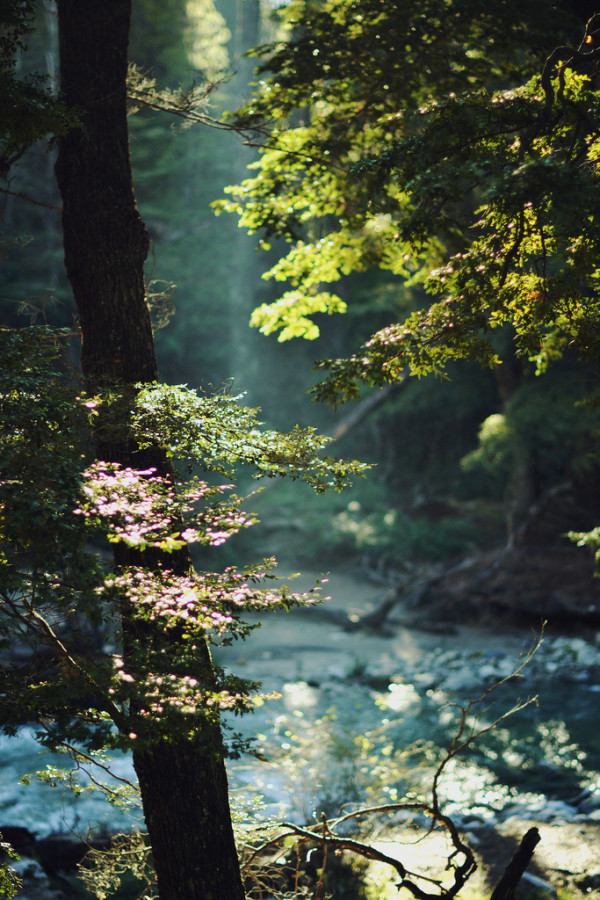 Friday Inspiration 98 29