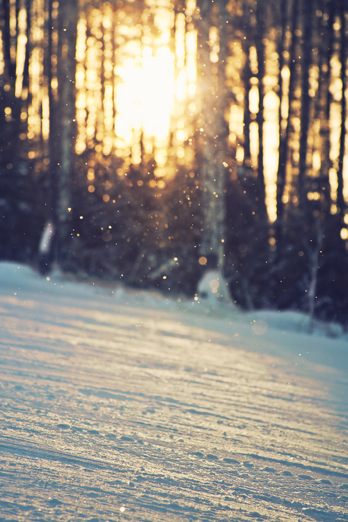 Friday Inspiration 98 51