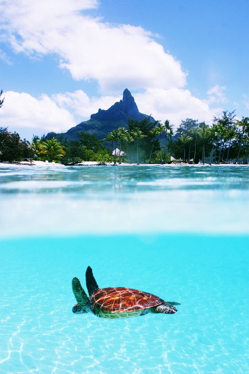 Friday Inspiration 98 96