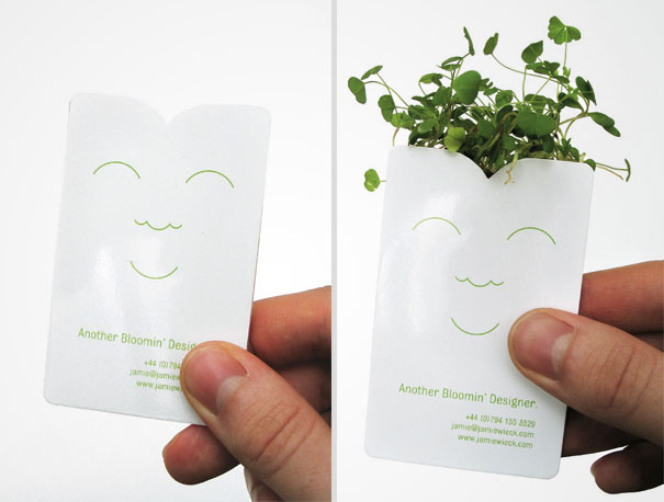 designer's seed packet (2)