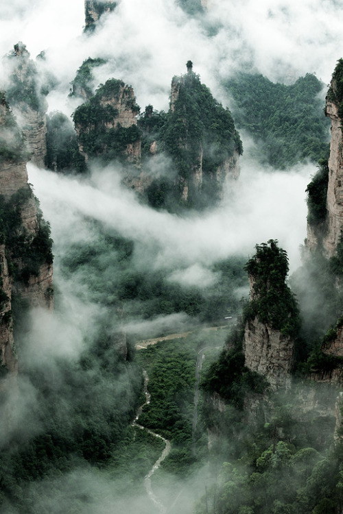 Friday Inspiration 101 13