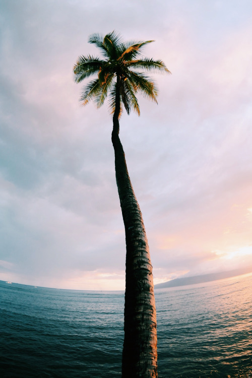Friday Inspiration 101 31