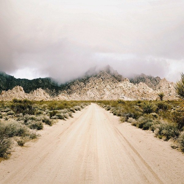 Friday Inspiration 101 69