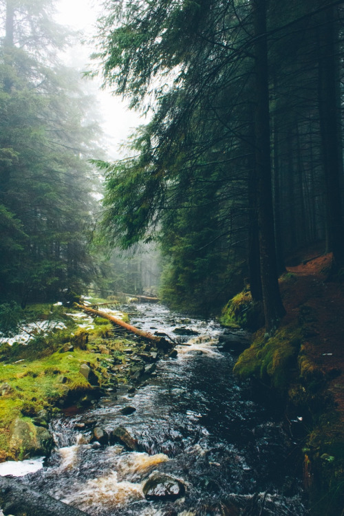 Friday Inspiration 114 39