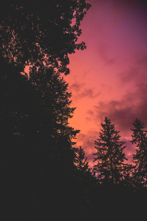 Friday Inspiration 114 63