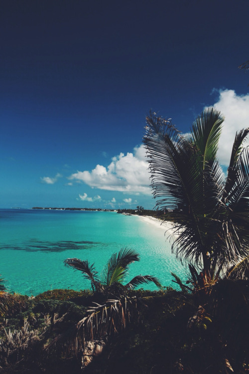 Friday Inspiration 123 18