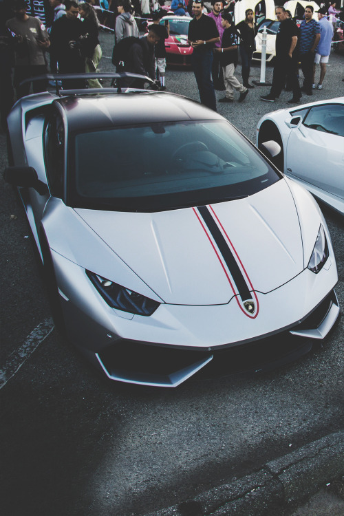 lambo-2