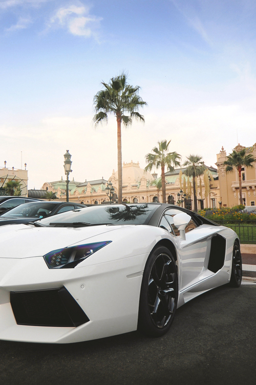 white-lambo