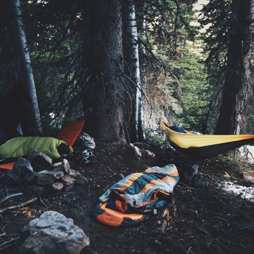 camping