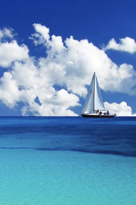 catamaran-at-sea