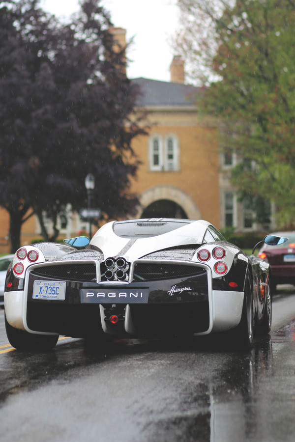 white-zonda