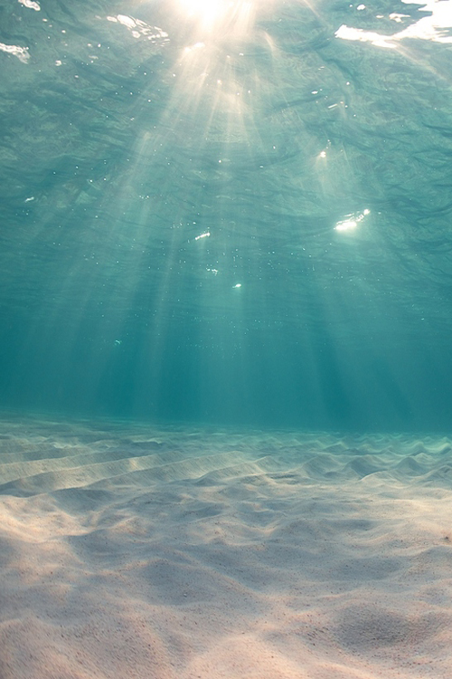 Friday-Inspiration38