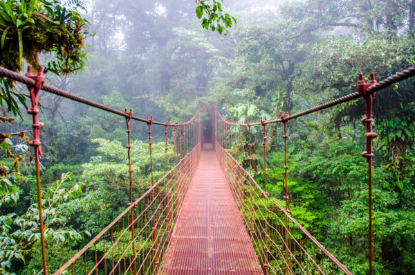hispotioncom-monteverde_cloud_forest-5703af971b0a3