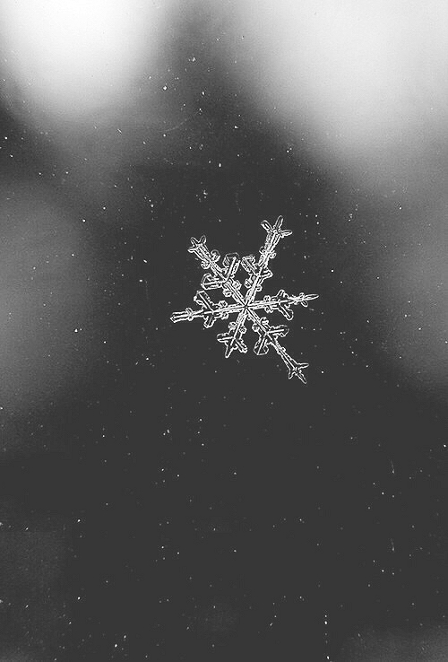 Friday Inspiration 27