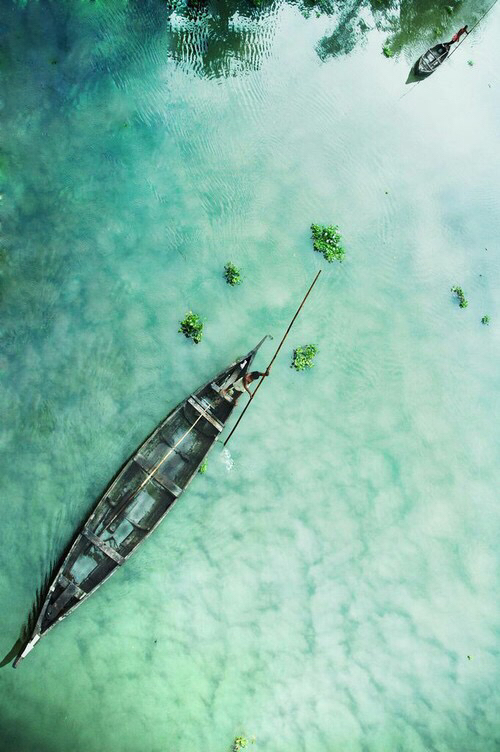 Friday Inspiration 31