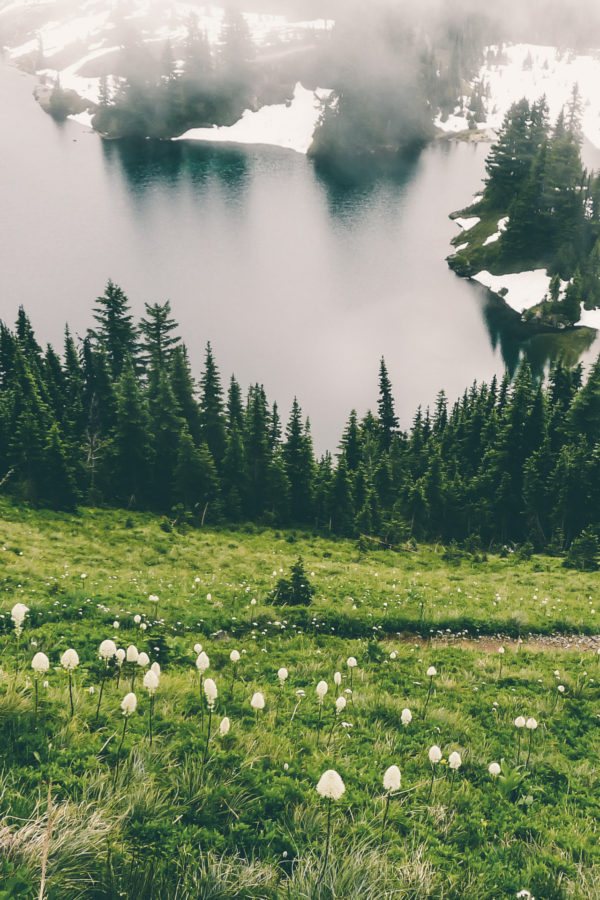 Friday Inspiration 42