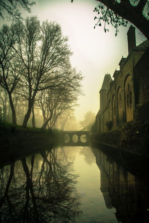Friday Inspiration 47