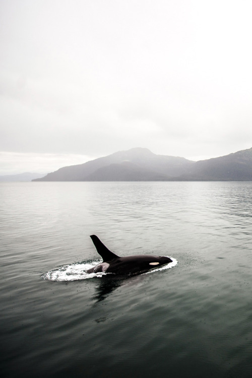Friday Inspiration 53