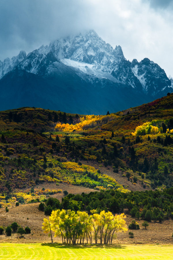 Mount Sneffels is the centerpiece of the Dallas Divide and the surrounding ranches. The contrast between lit and shadowed areas between the the isolated grove of cottonwood trees gleaming in the sun against the mountain towering in the storm clouds above is what drew me to this image.