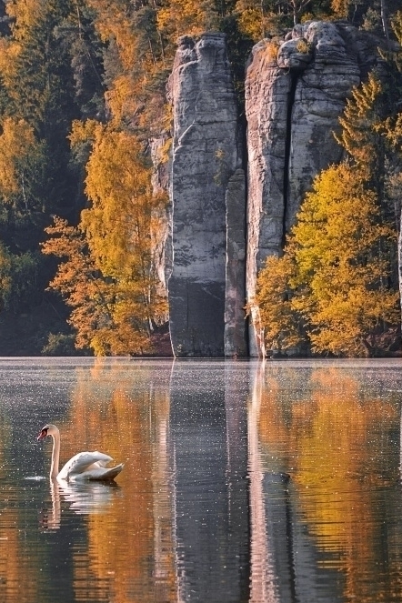 Friday Inspiration 9