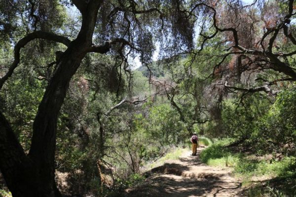 backbone-trail-beauty-700x467