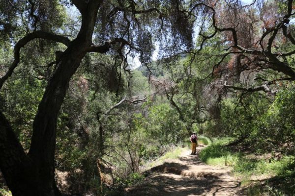 backbone-trail-beauty-700x467